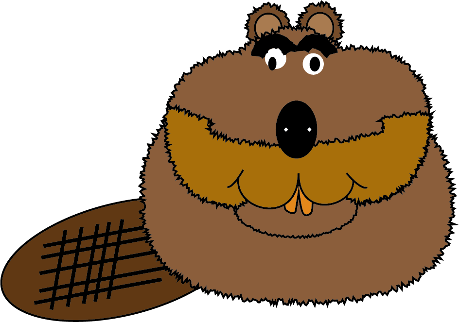 Beaver